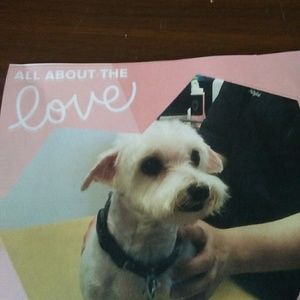 Meet your Posher, Rebecca